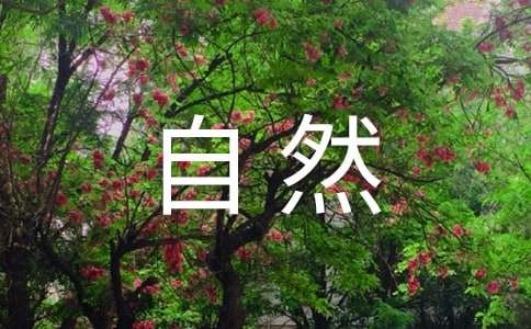 回归自然让生活更美好的作文（通用28篇）