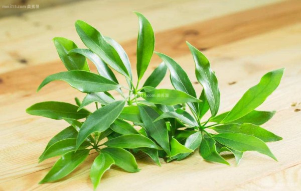 什么绿植吸甲醛效果好 吸甲醛绿植排名