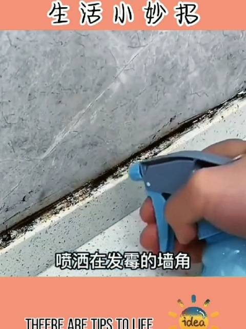 实用的家庭除霉小技巧，去除各种霉渍