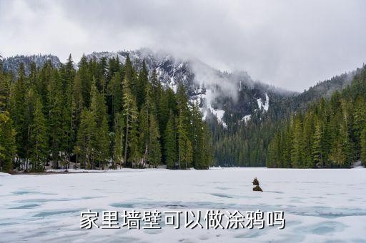 家里墙壁可以做涂鸦吗