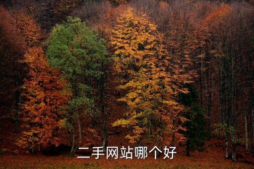 二手网站哪个好