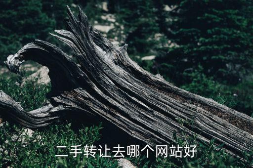 二手转让去哪个网站好