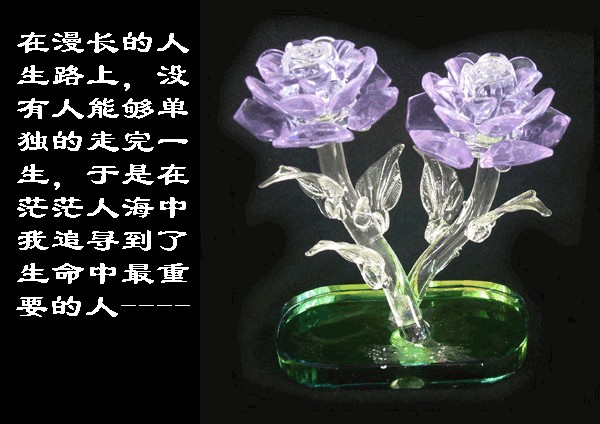 博客是我生活的一部分，博客成了我永远的牵挂 - 思婷 - 思婷博客欢迎你