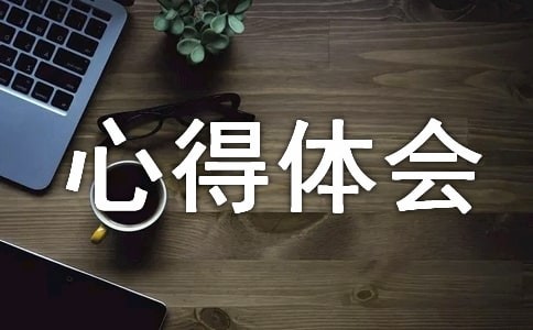 提高工作效率心得体会（通用11篇）