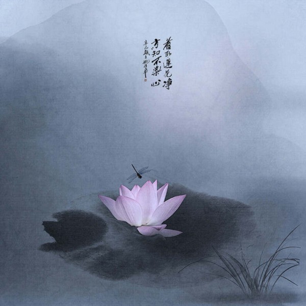 平静男子，韵味生活 - 华山论剑 - 華山論劍★劍 苑