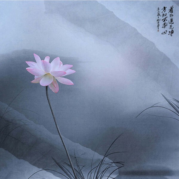 平静男子，韵味生活 - 华山论剑 - 華山論劍★劍 苑