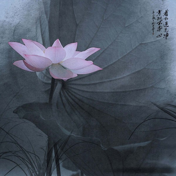 平静男子，韵味生活 - 华山论剑 - 華山論劍★劍 苑