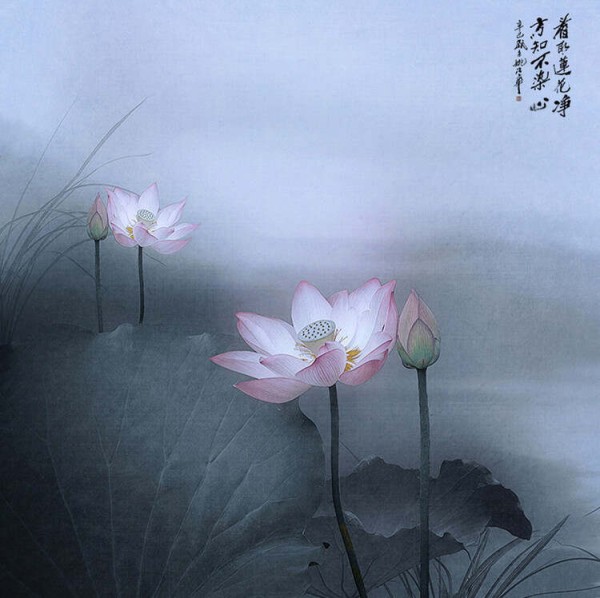 平静男子，韵味生活 - 华山论剑 - 華山論劍★劍 苑