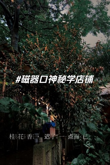 重庆！磁器口古镇！新开的神秘学店铺