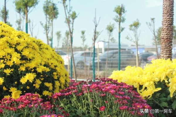 退休老人房车旅行，怎么才能省钱？老年人房车自驾游的11条建议