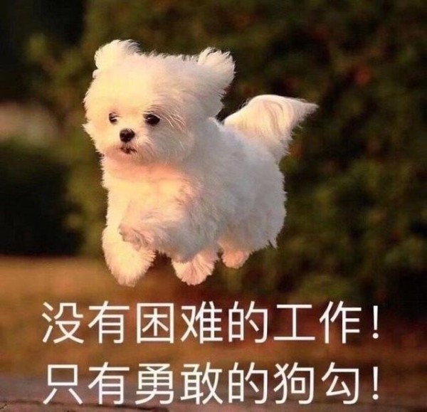 如何有效解决压力，拥有积极、乐观的人生态度？