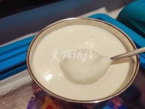 希腊酸奶(冷萃酸奶)的做法 步骤6