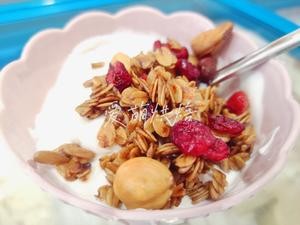 希腊酸奶(冷萃酸奶)的做法 步骤13