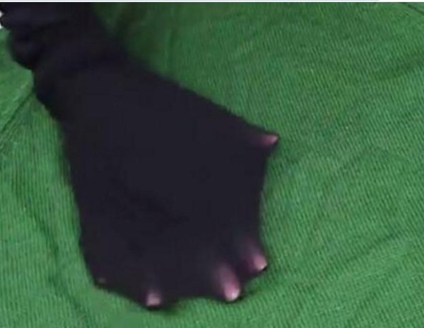 猫狗宠物毛发总往衣服上粘，只需一只袜子就可以搞定