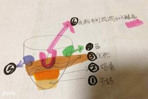 不看后悔！新手吐司速成详细攻略的做法 步骤1