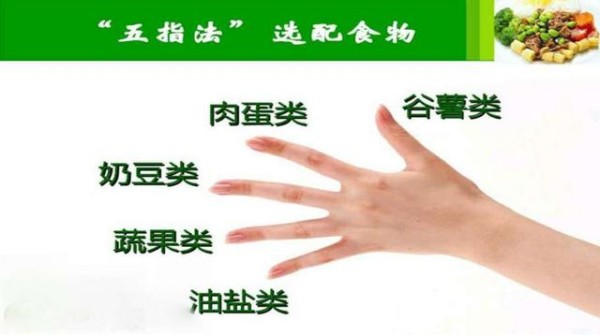家庭营养餐要丰盛——就用五指速配法，人人学的会