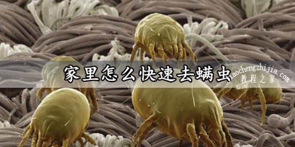 家里怎么快速去螨虫