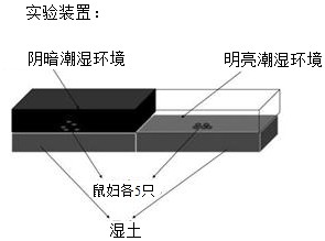 菁优网