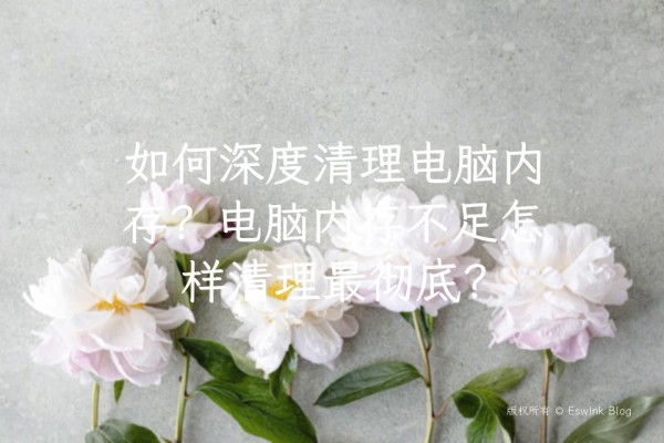 如何深度清理电脑内存？电脑内存不足怎样清理最彻底？-Eswlnk Blog