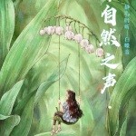自然之声 | 白噪音.伴你入眠