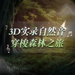 3D实录原生态自然音-穿梭森林之旅