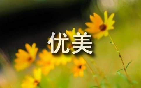 我们的生活忙碌而又充实的优美句子