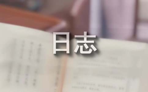 每日工作日志（精选46篇）