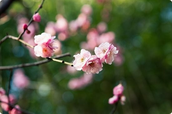 月经干净了，能马上过夫妻生活吗？劝你忍上这一段时间