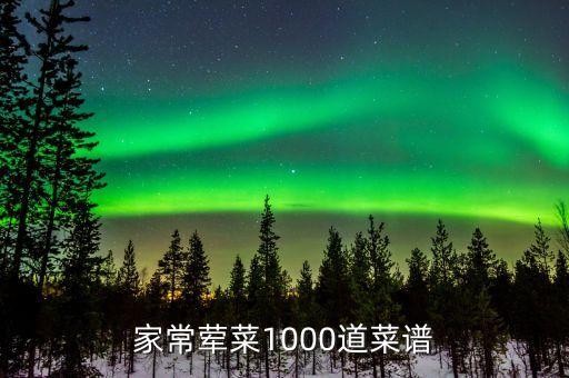 家常荤菜1000道菜谱