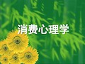 消费心理学全套推荐