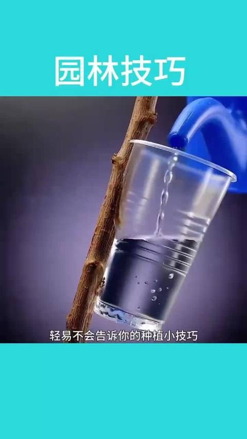 生活小技巧,园林里面的小妙招