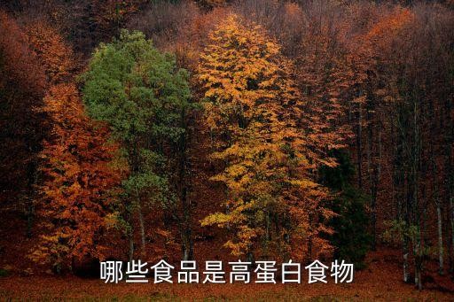 哪些食品是高蛋白食物