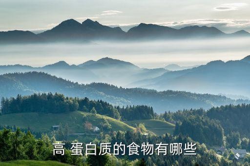 高 蛋白质的食物有哪些