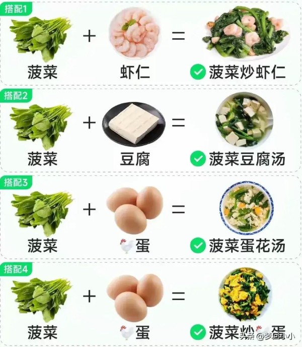 二十四款蔬菜食物配菜搭配，经典搭配，好吃营养，建议收藏！