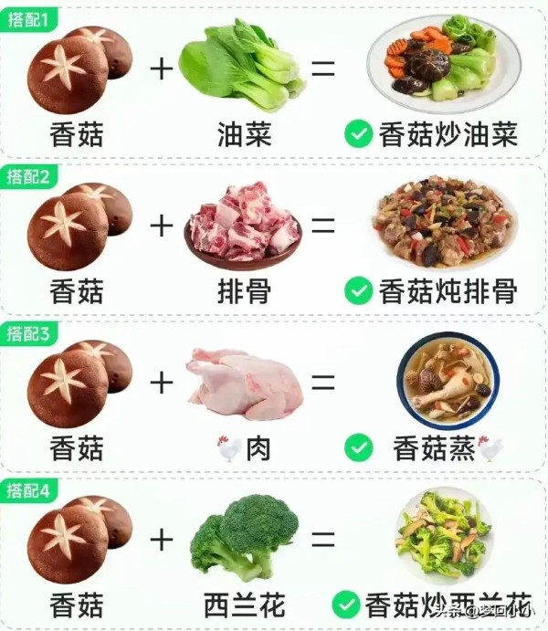 二十四款蔬菜食物配菜搭配，经典搭配，好吃营养，建议收藏！