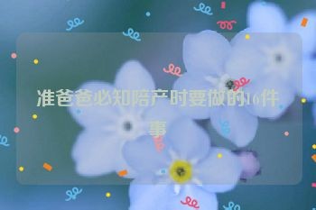 准爸爸必知陪产时要做的16件事