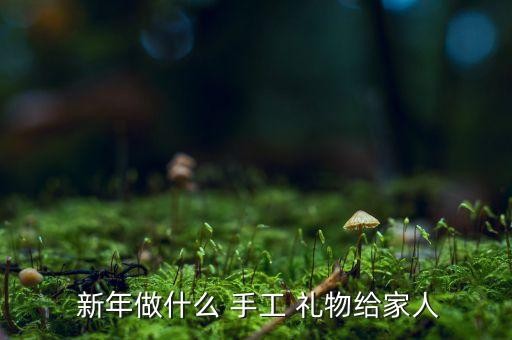  新年做什么 手工 礼物给家人