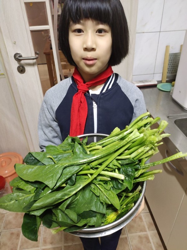 择菜.jpg