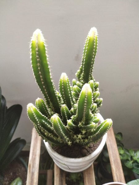 万重山的寓意与风水关系