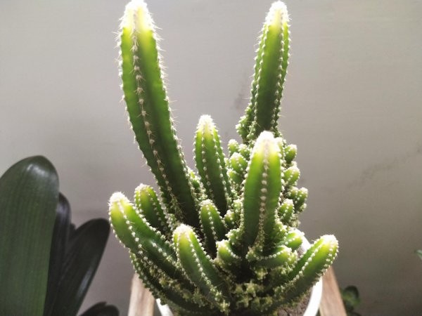 万重山的寓意与风水关系
