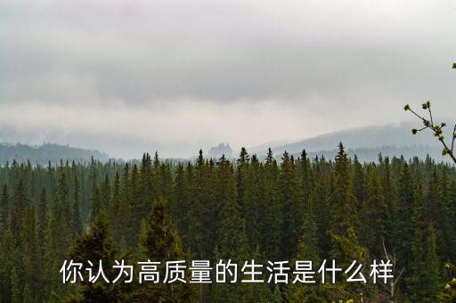 你认为高质量的生活是什么样