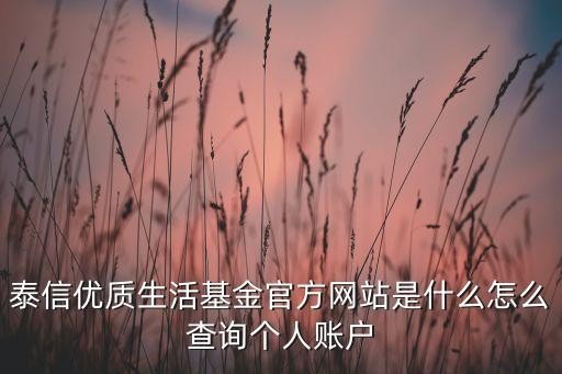 泰信优质生活基金官方网站是什么怎么查询个人账户