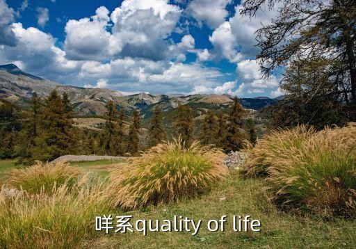 咩系quality of life