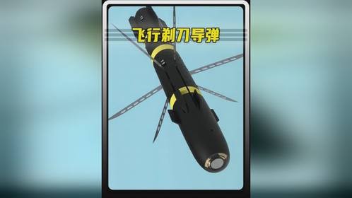 没有填装火药，却安装刀片的导弹，是如何消灭敌人的？
