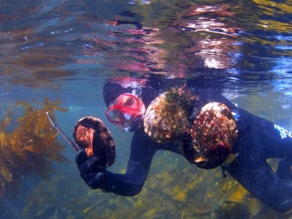 Part of the experience at the seafood seduction tour is snorkelling in the ocean to catch your meal image peter aitchison