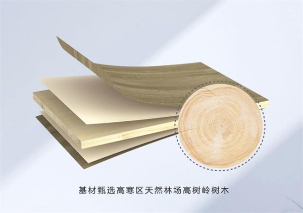 沿海