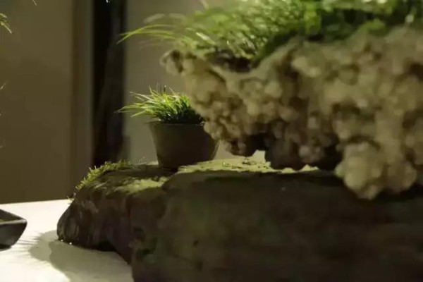 明人居家生活中的茶与香 | 香道