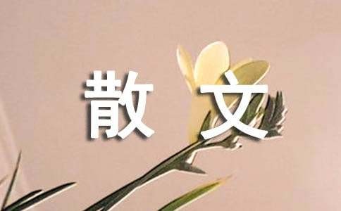 树立积极的人生态度散文