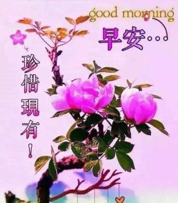 文章图片4
