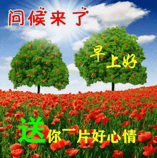 文章图片5